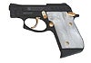 Taurus 22/25 Series Pistol