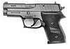 Sig Arms P245 Pistol