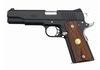 Para 1911 Pistol