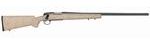 Remington 700 Rifle