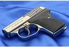Seecamp LWS .32 auto Pistol